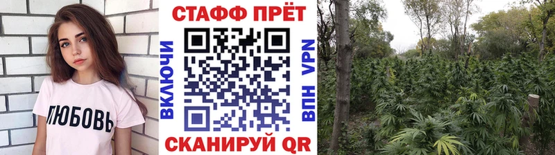 Как найти наркотики Гаджиево Амфетамин A-PVP Гашиш МДМА Галлюциногенные грибы Каннабис КОКАИН Мефедрон