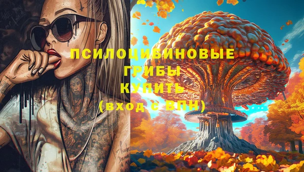 спиды Алзамай